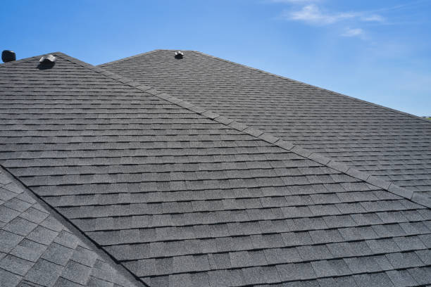 Best Roof Moss and Algae Removal  in Five Forks, SC